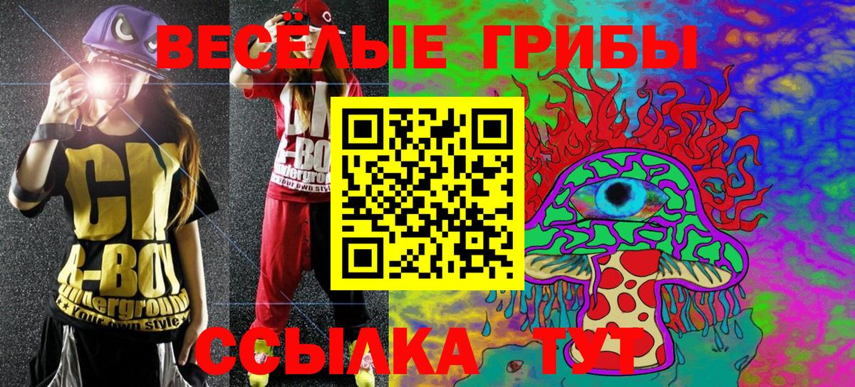 Псилоцибиновые грибы GOLDEN TEACHER Ангарск